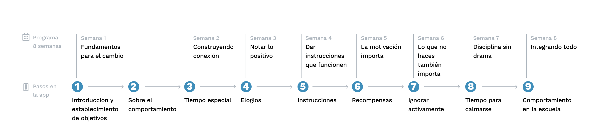 Recorrido del programa semana a semana
